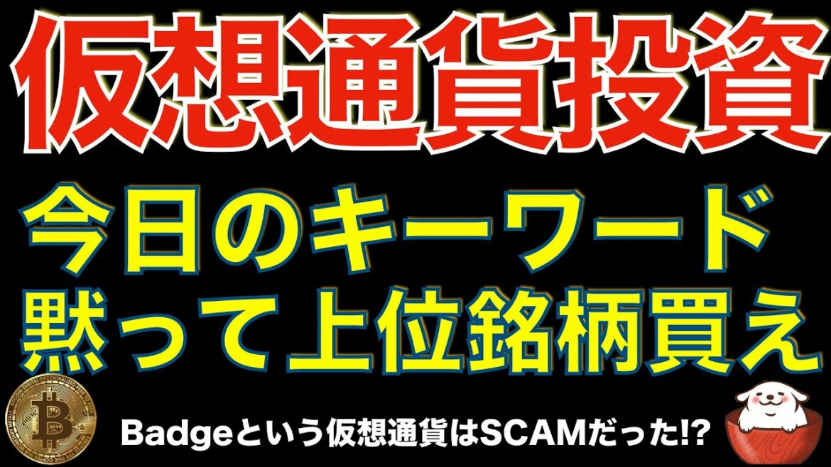 【暗号資産 ビットコイン 相場分析】Badgeは詐欺だった！？仮想通貨投資は目先の利益に目が眩むと騙されます（朝活配信722日 毎日チェックするだけで勝率アップ）