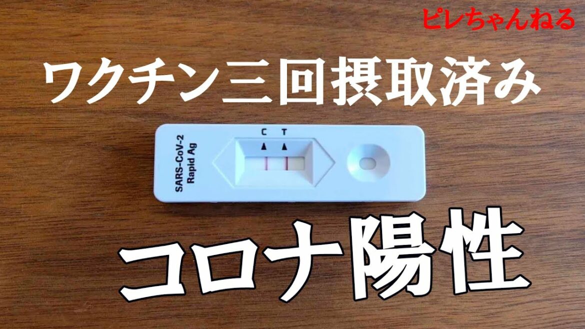 家族がコロナ陽性になってしまいました・・