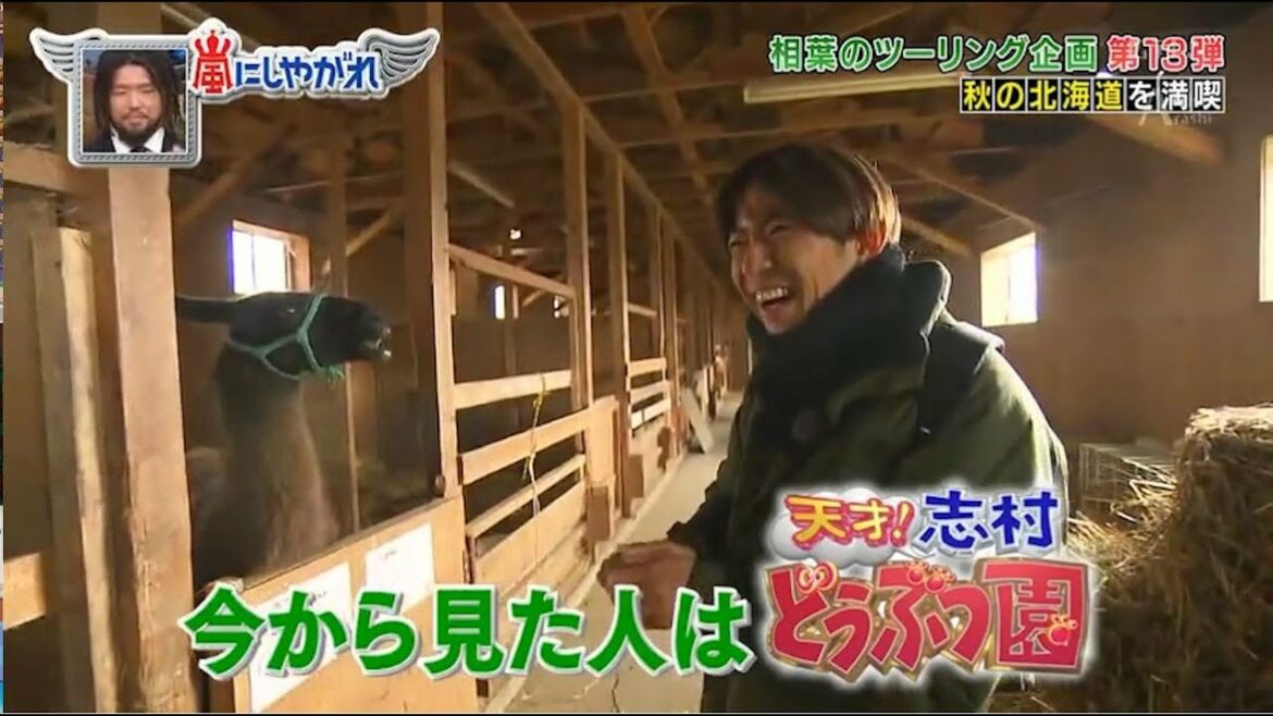 嵐 櫻井翔&相葉雅紀 昔は「セレブ」今は「ギャル」になりたい
