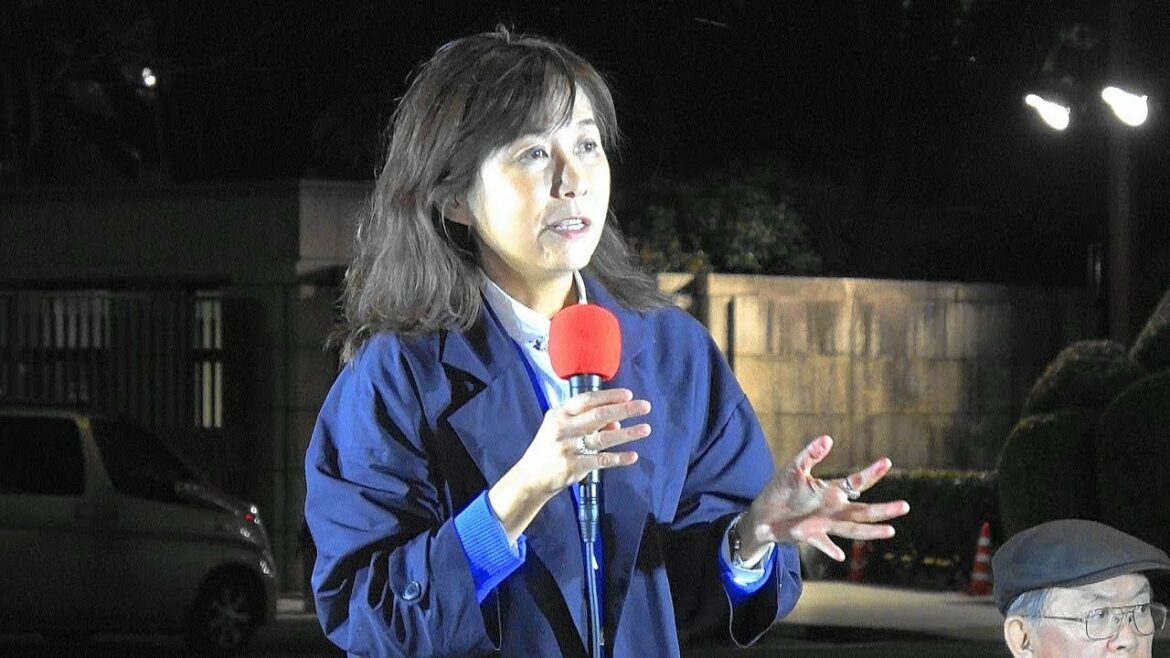 香山リカ氏（精神科医）スピーチ「森友学園疑惑徹底追及！安倍内閣は総辞職を！国会正門前集会」［8/12］2018.3.15 @国会正門前