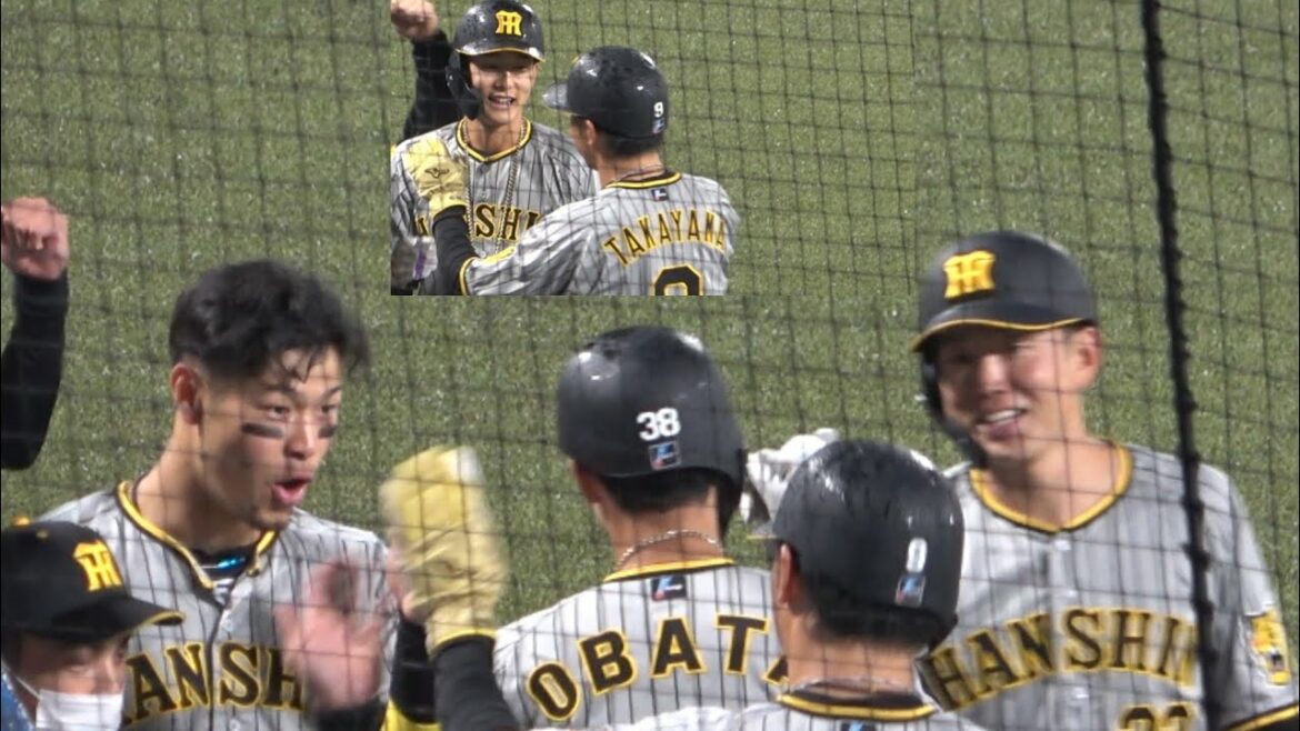 佐藤輝明もびっくり！おめでとう！小幡 竜平 プロ初ホームラン 阪神タイガース 2022年4月24日 神宮球場