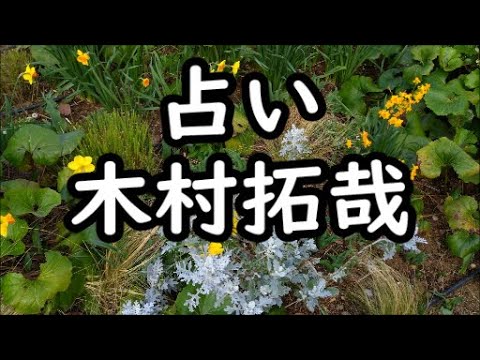 《占い》木村拓哉さん《占い》 《占い》木村拓哉さん《占い》