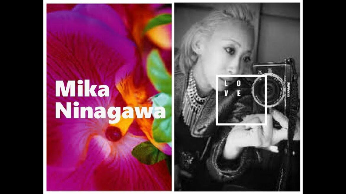 Mika Ninagawa フォトグラファー 蜷川実花-iro 色 iro-