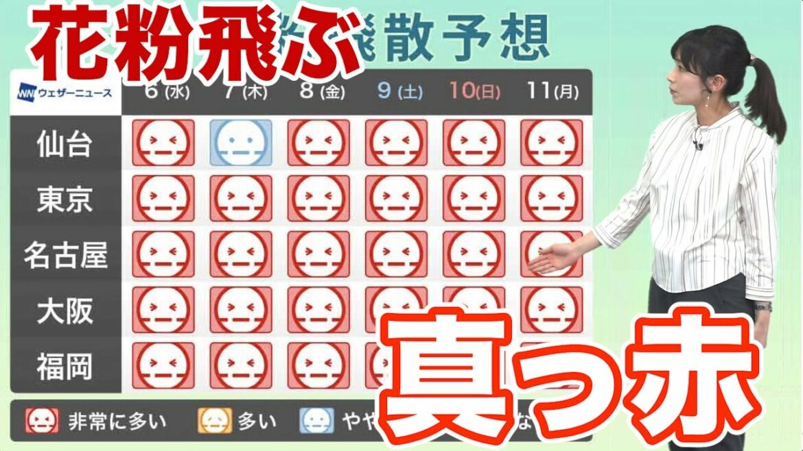 この先気温上昇し花粉飛散に警戒