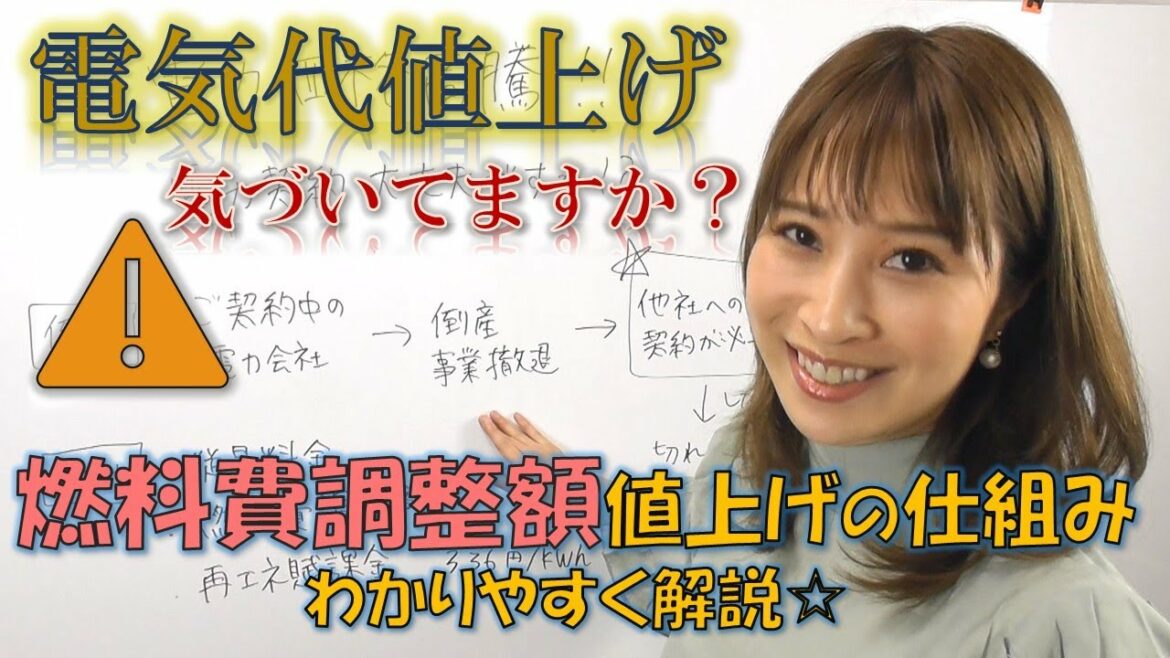 電気代の値上げに気づいてますか!?燃料費調整額の値上げの仕組みをわかりやすく解説☆ 電気代の値上げに気づいてますか!?燃料費調整額の値上げの仕組みをわかりやすく解説☆