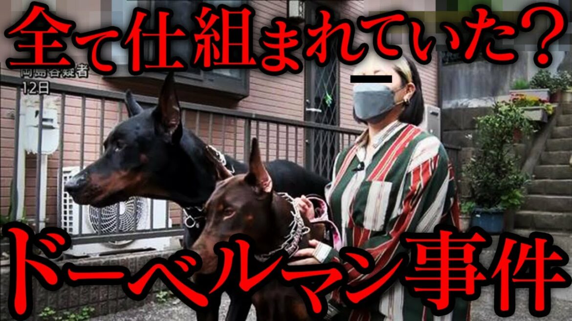 【ドーベルマン事件】歪んだ正義で男女３人がとんでもない事件を起こしてしまう…