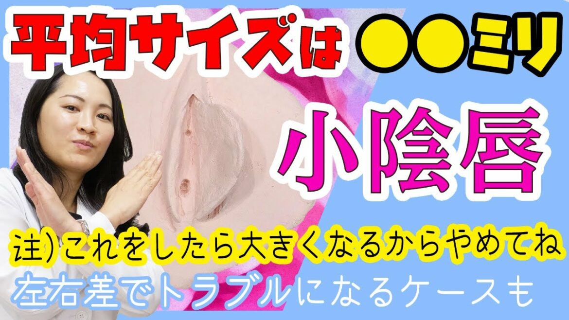 【大人のお話】女性の平均サイズは何ミリでしょうか？○○したら大きくなる！？【湘南美容クリニック女医が解説】