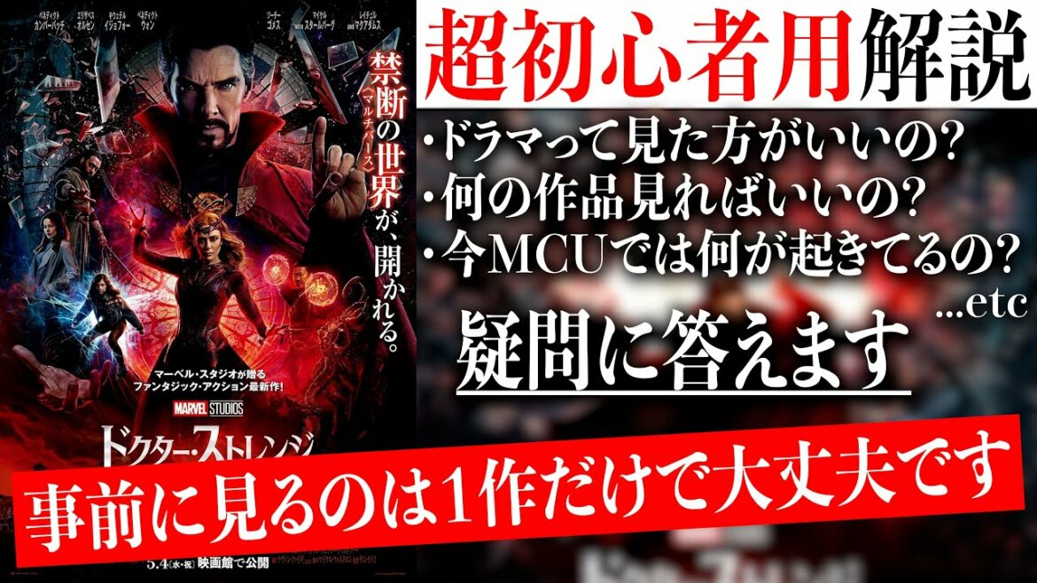 【徹底解説】MCU史上最大難易度？なドクター・ストレンジ/イン・ザ・マルチバース・マッドネスはこの動画と１作見るだけで楽しめます【MCU/マーベル/アベンジャーズ】