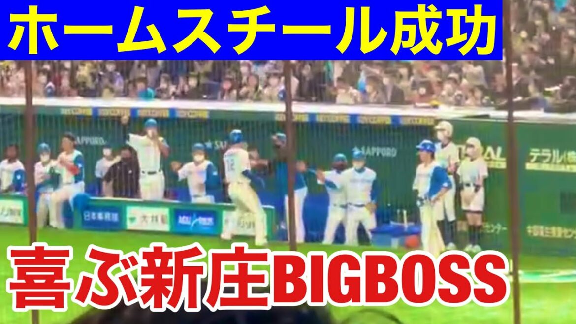 【新庄BIGBOSS】ホームスチールをした松本剛を大喜びで迎える新庄BIGBOSS/日本ハムVSオリックス