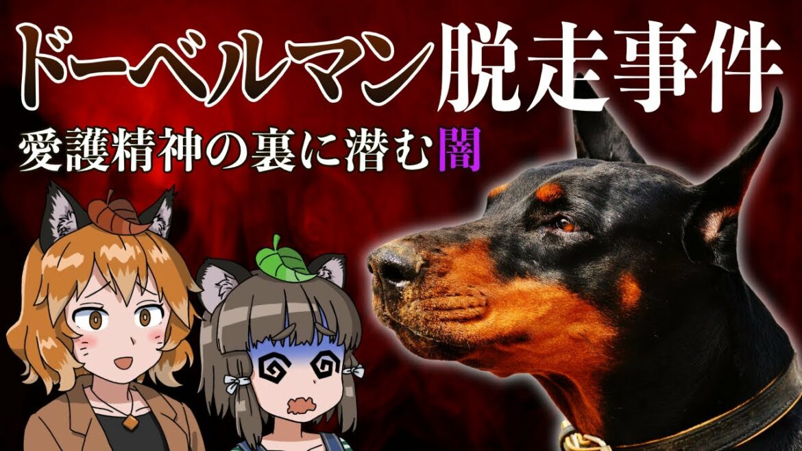 【木更津】ドーベルマン脱走事件｜愛護精神の裏に潜む本当の問題