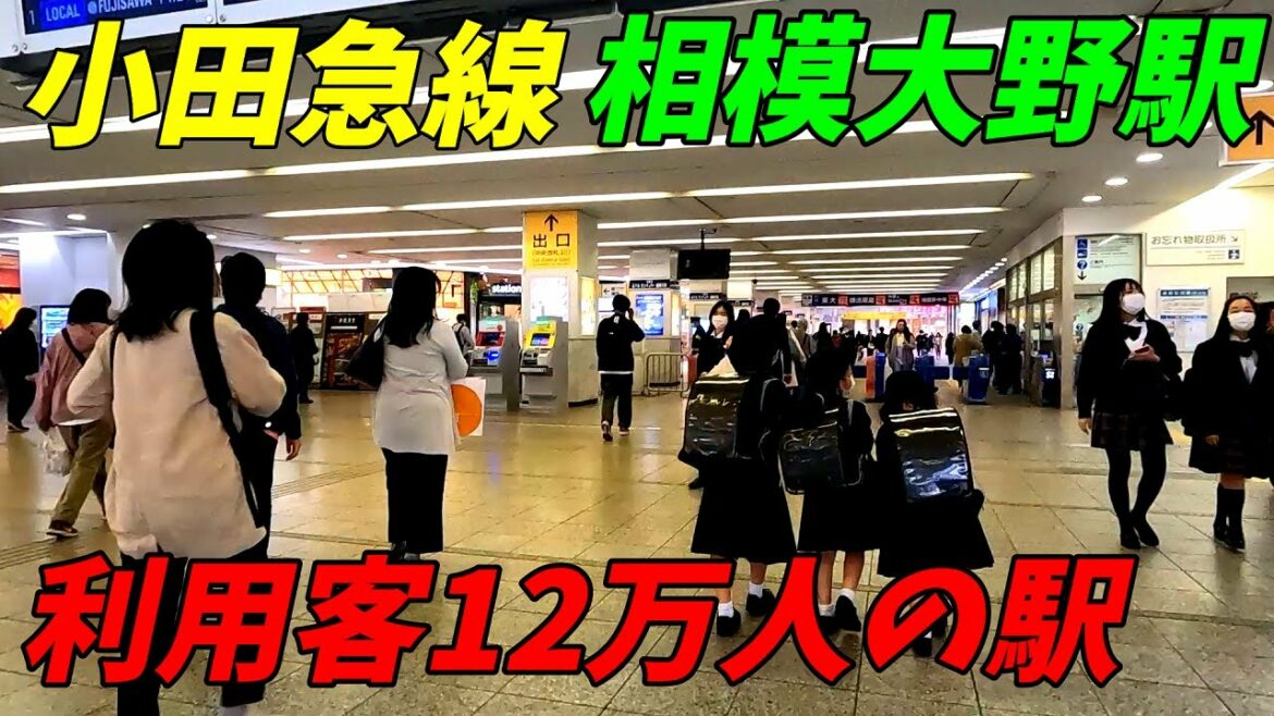 【相模原市】小田急線、相模大野駅構内を散策！(Japan Walking around Sagami-Ono Station)