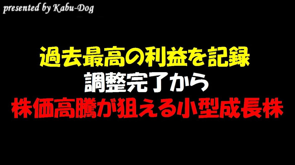 【過去最高の利益を記録】調整完了から株価高騰を狙う小型成長株の注目銘柄