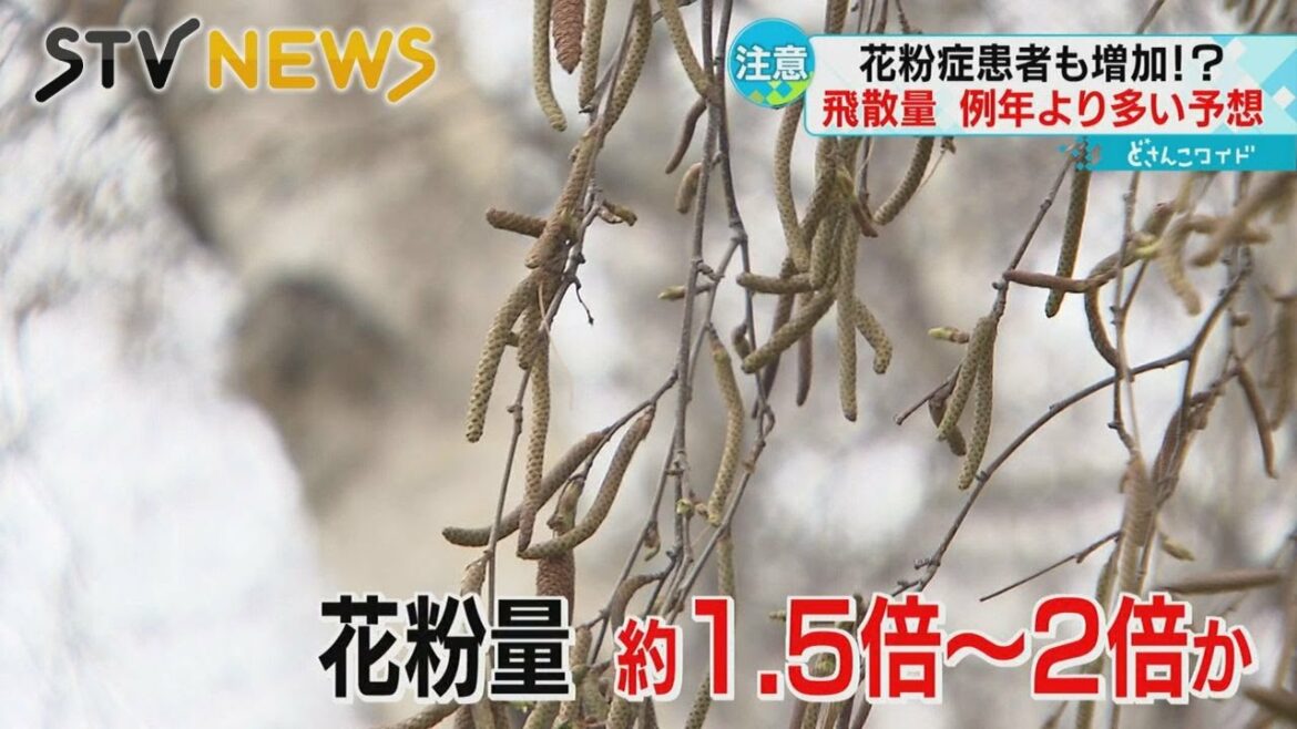 つらい季節がやってくる…ことしは花粉の飛散量が多い？　まだ発症していない人も注意！