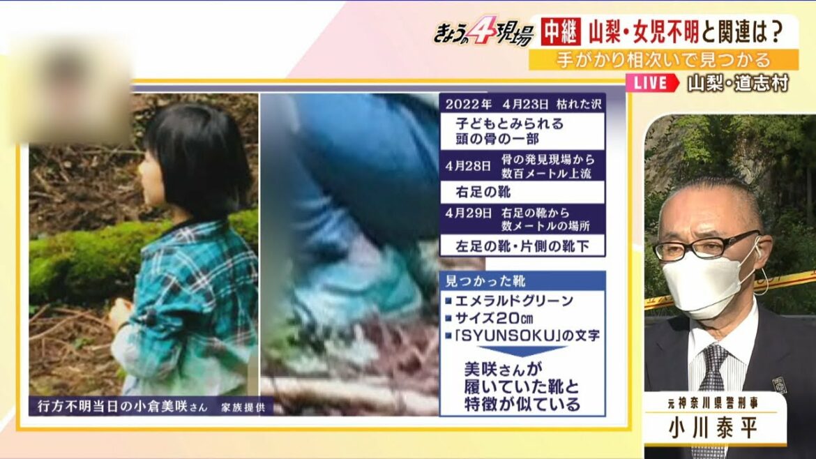 元刑事が話す『３つの可能性』"見落とし・移動・第三者"２年超を経て発見の手がかりと「山梨女児不明」との関連は？（2022年5月2日）