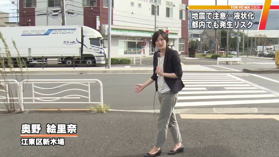 北海道地震でリスク顕在化　停電や液状化への備えは