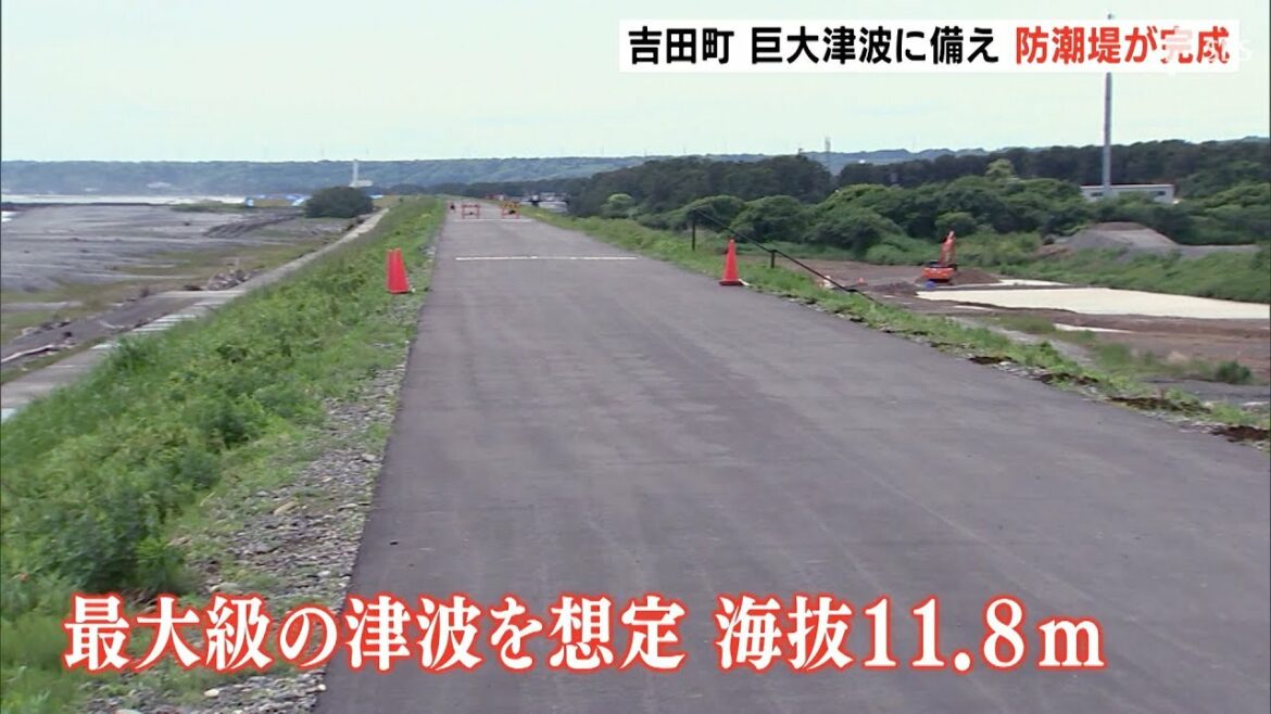 “南海トラフ”の津波を想定 高さ11.8mの防潮堤完成＝吉田町（静岡県）