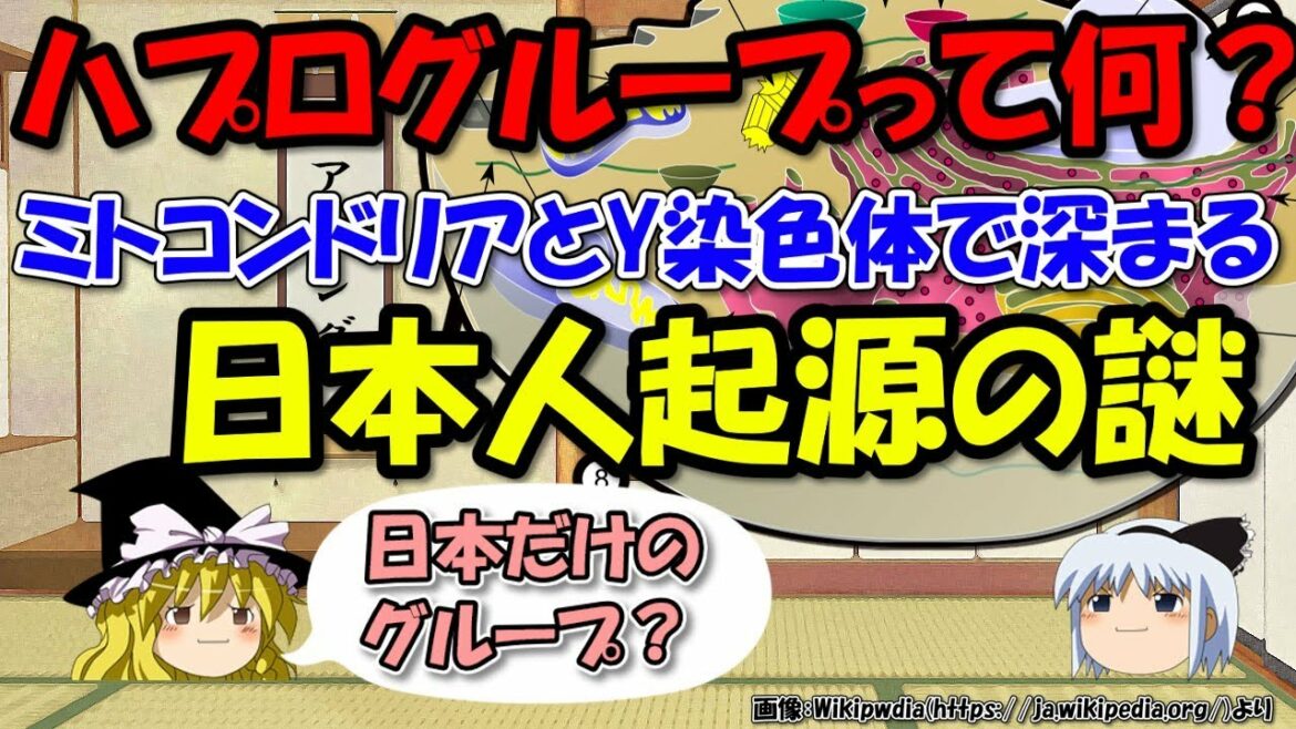 日本人の起源は謎～ハプログループ、ミトコンドリアDNAとY染色体でこんなに違うDの一族【ゆっくり解説世界史】