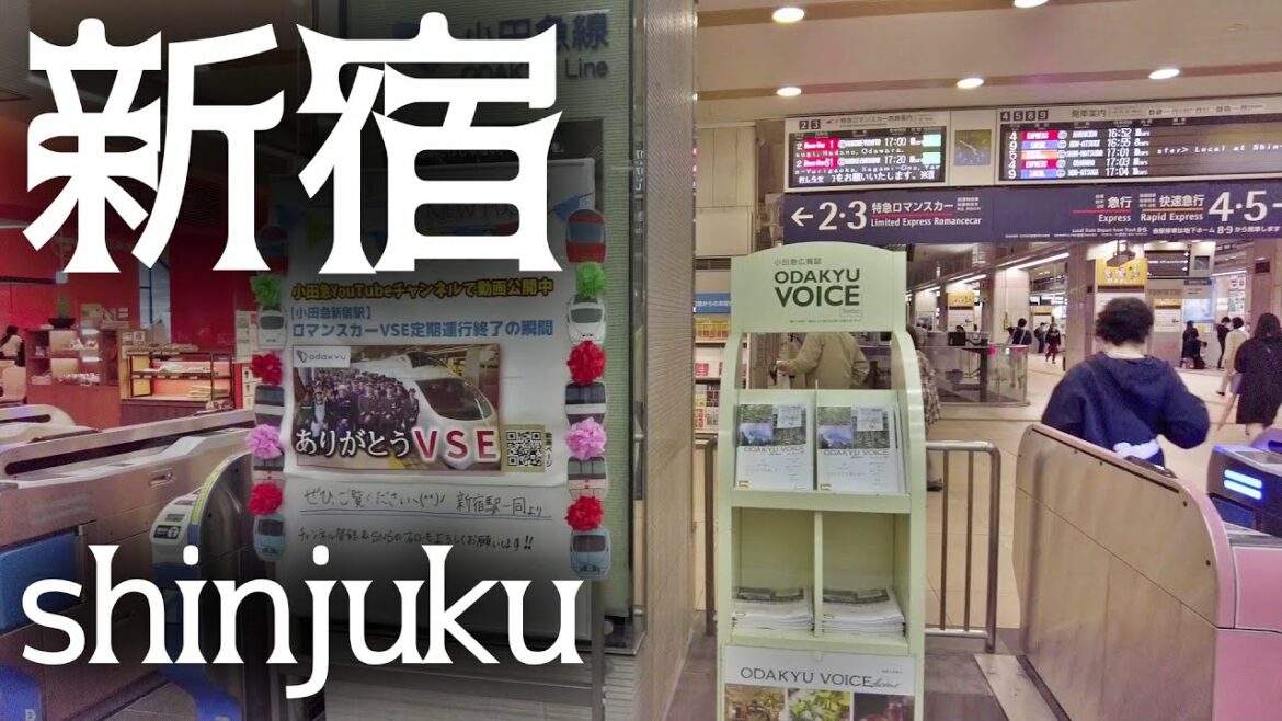 東京・新宿駅周辺の散策 小田急線・京王線ターミナル tokyo cityscape shinjuku redevelopment 2022-05