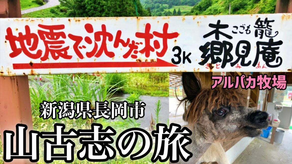 涙腺崩壊【地震で沈んだ村】山古志木籠集落　新潟県長岡市　山古志観光②　アルパカ牧場でアルパカと遊ぶ　中越地震を経て　これが新潟だ　This is NIIGATA