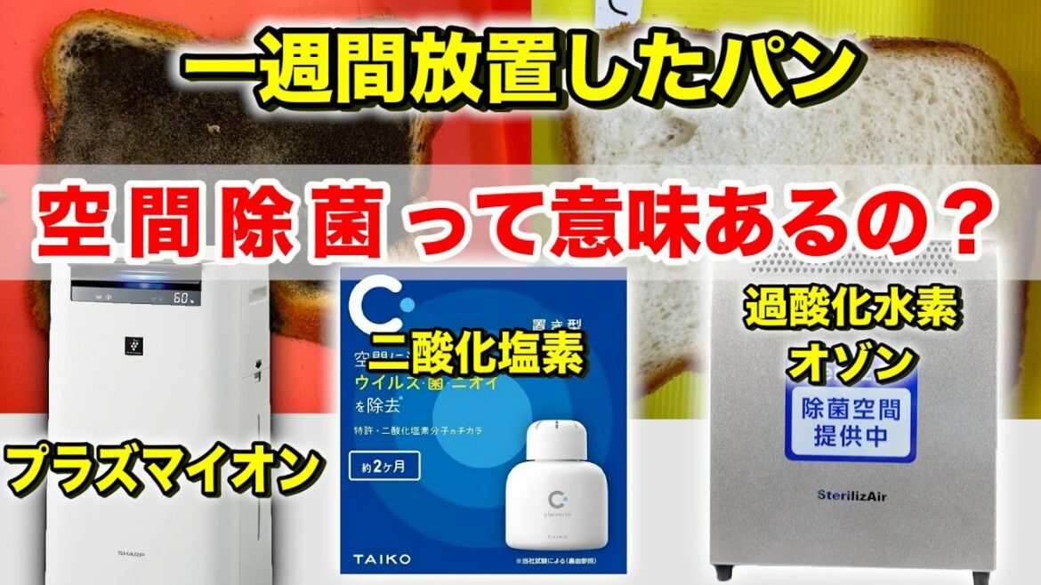 空間除菌は意味あるの？１週間パンにカビを生えさせないことができるか？【検証】Possibility science challenge