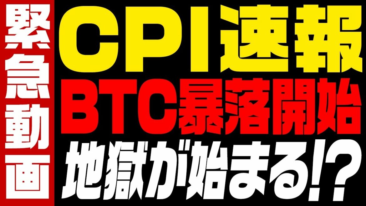 ⚠️緊急動画⚠️ビットコイン暴落開始で地獄の始まり⁉︎不安な方は即視聴！【仮想通貨】