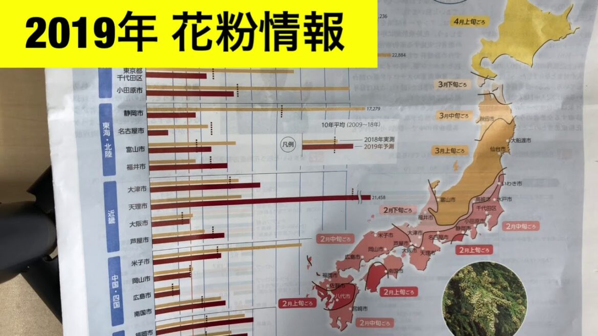 花粉情報2019