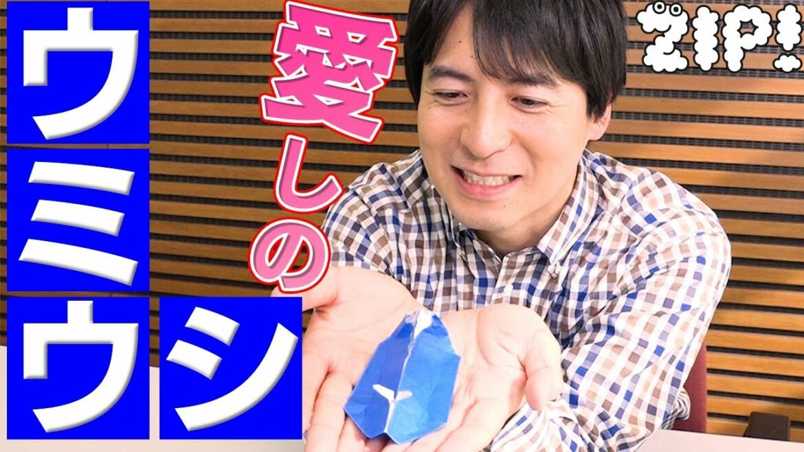 超こだわり!桝アナがウミウシを折ってみた。 桝アナの折り紙動物園#7【ZIP!公式チャンネル】【#家で一緒にやってみよう】