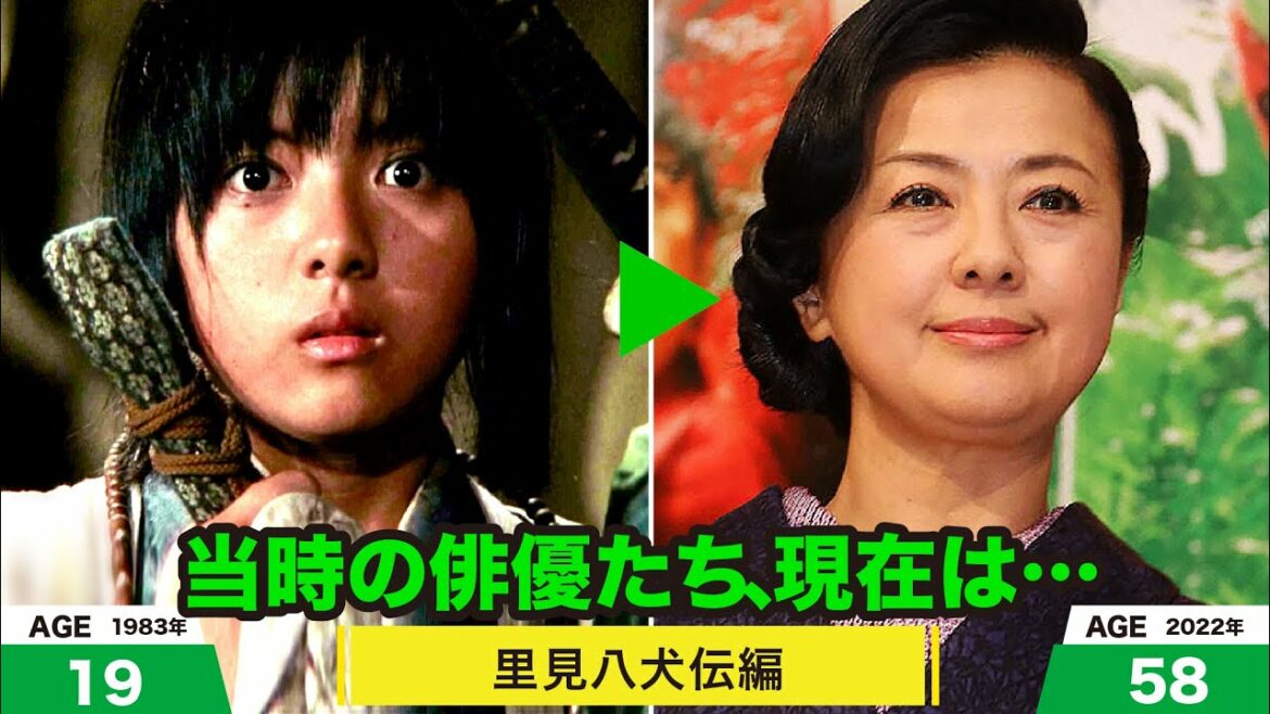 里見八犬伝編、当時の出演者たちの今は？