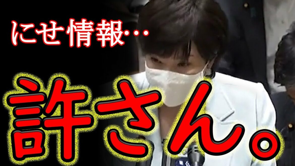 高市早苗、国会で「にせ情報」対策について発言！