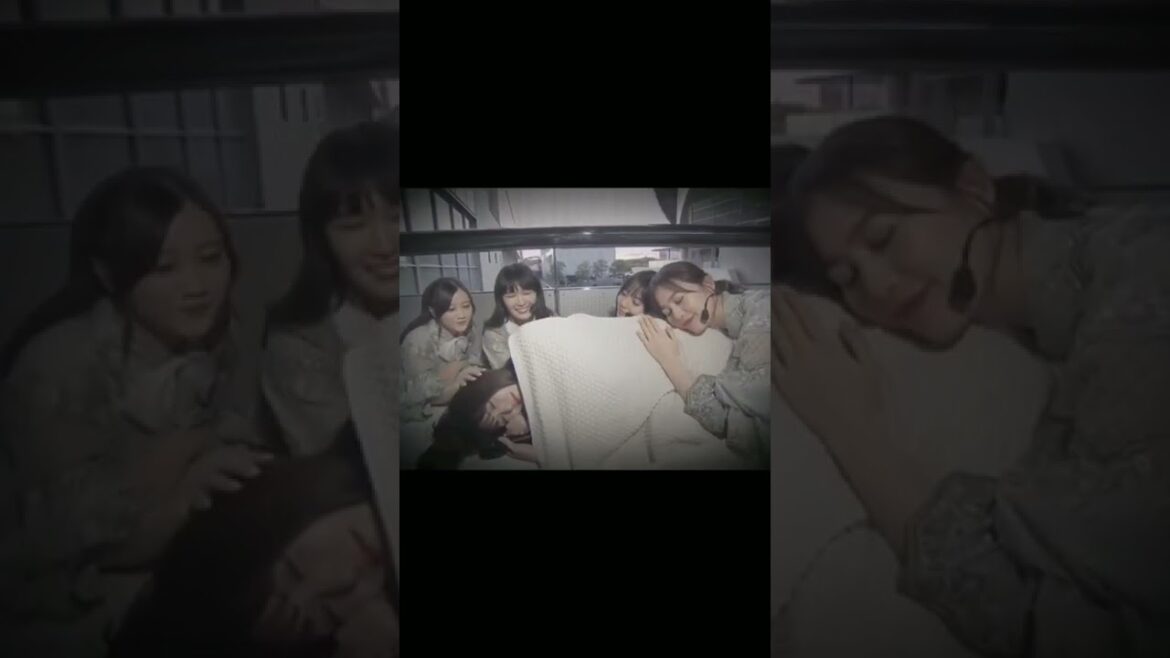 1期生のぬくもり⁡#乃木坂46 #生田絵梨花⁡ #星野みなみ⁡ #齋藤飛鳥⁡ #高山一実⁡ #松村沙友理⁡ #1期生ライブ#idol #nogizaka46 #cute #shorts #asuka
