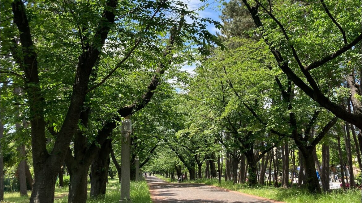 【木村拓哉】HEROの聖地巡礼!!伝説のドラマのオープニングが撮影された拓哉さんの森に来たキムタク系YouTuber【TAKのキムタク日記】