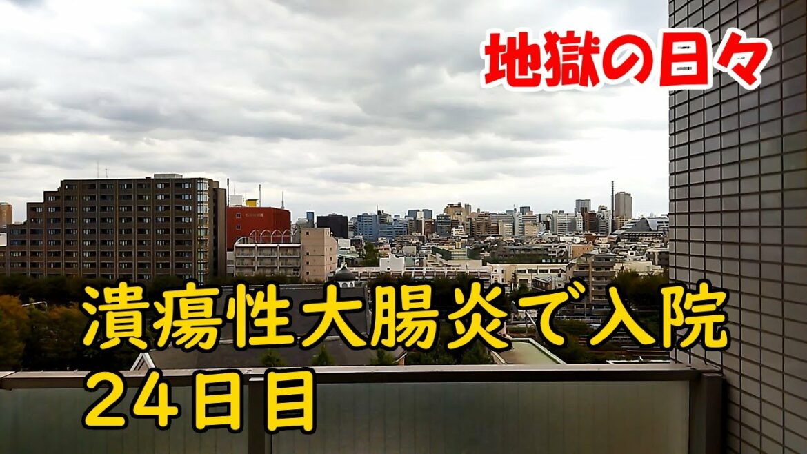 潰瘍性大腸炎で入院 24日目 地獄の日々 2021/9/29 潰瘍性大腸炎で入院 24日目 地獄の日々 2021/9/29