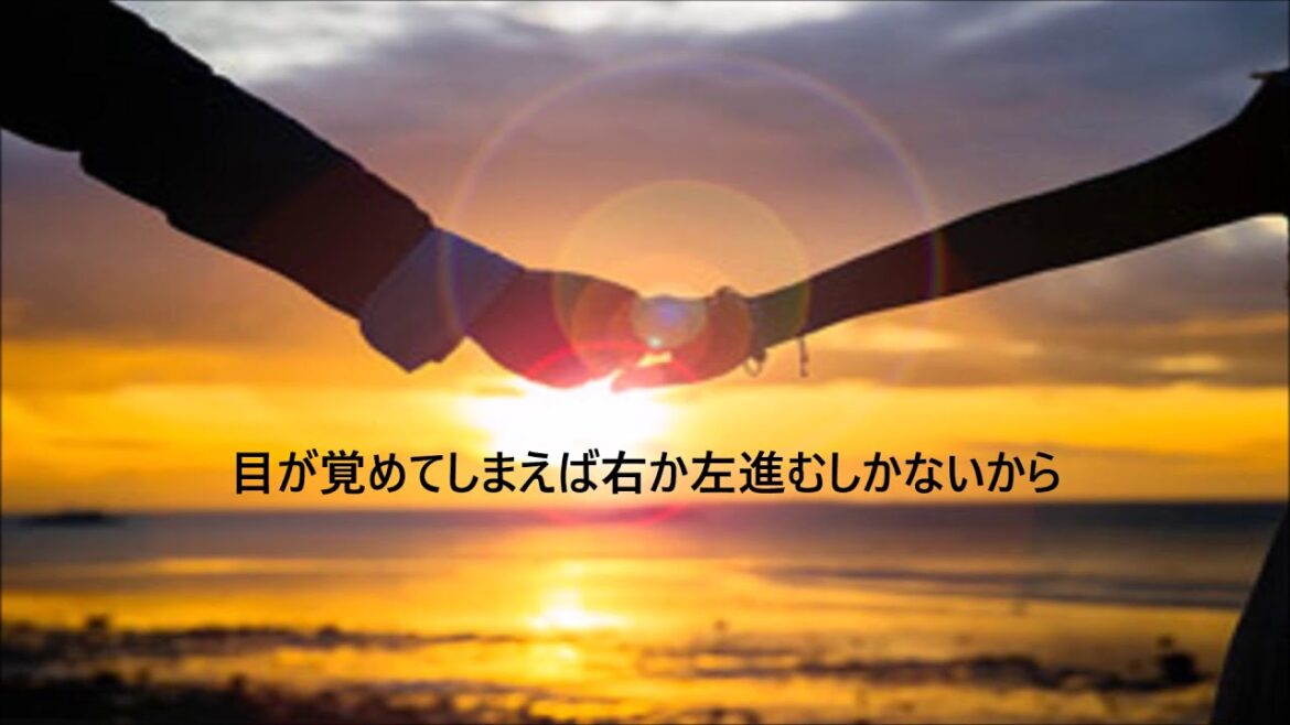 ★倖田來未★hands★Cover by 1065★