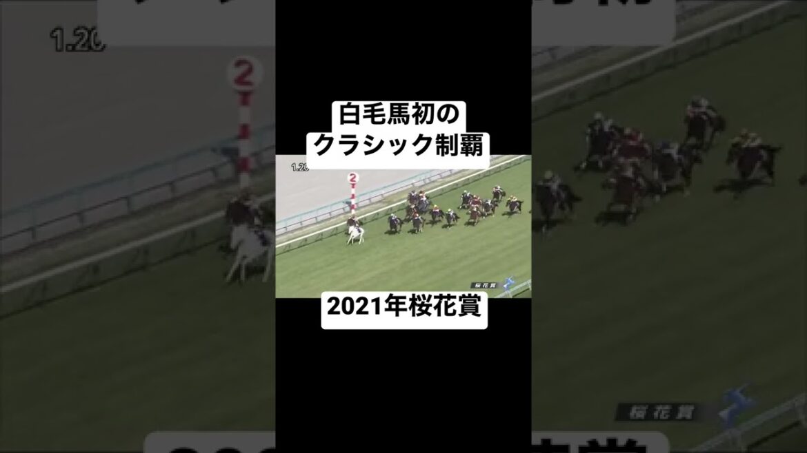 個人的に心に残ったレース⑨2021年桜花賞#shorts #ウマ娘 #競馬 #ソダシ #桜花賞