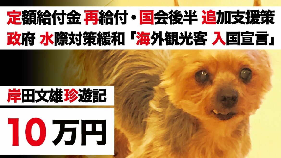 【特別定額給付金 再給付・低所得世帯への生活困窮者支援策】岸田首相 GW珍遊記 VS 政府 水際対策緩和「外国人観光客入国受け入れ宣言」【子育て世帯 現金給付】