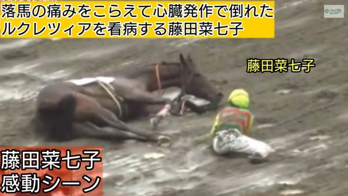 藤田菜七子の優しさ ルクレツィア 女性騎手 感動のシーン The kindness of Nanako Fujita