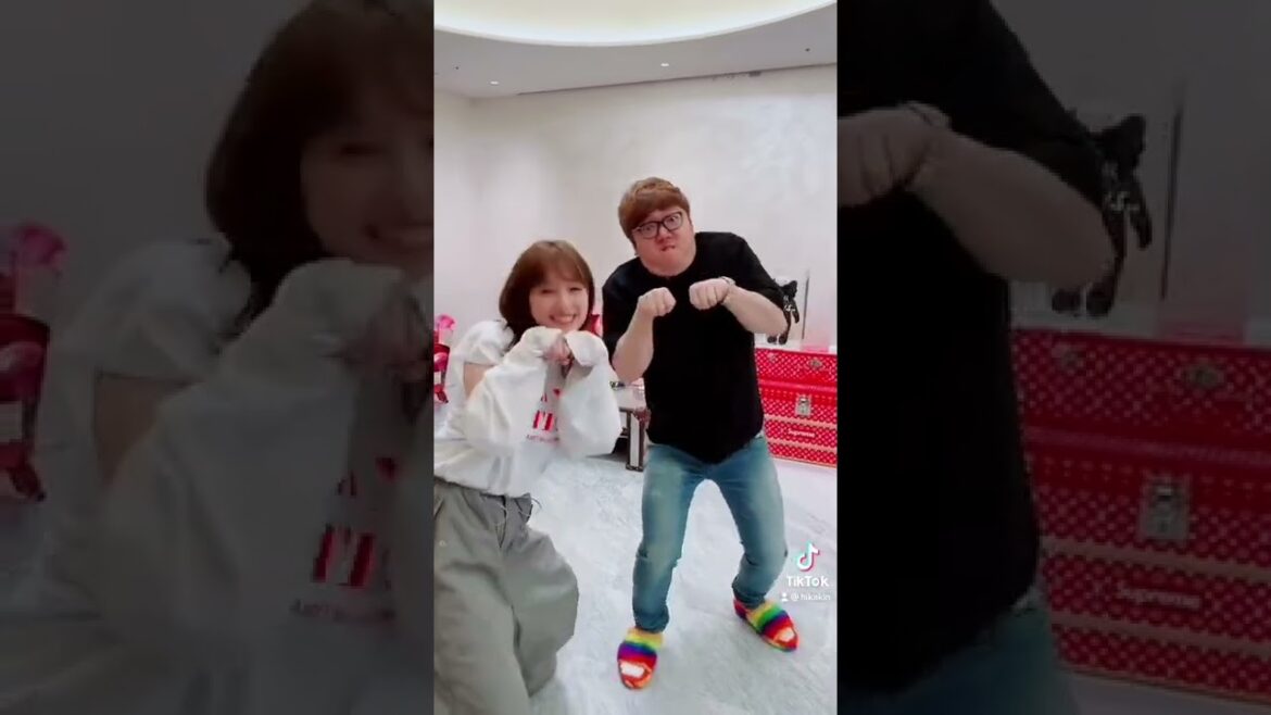 本田翼とヒカキンが通ります #Shorts #TikTok #通ります 本田翼とヒカキンが通ります #Shorts #TikTok #通ります