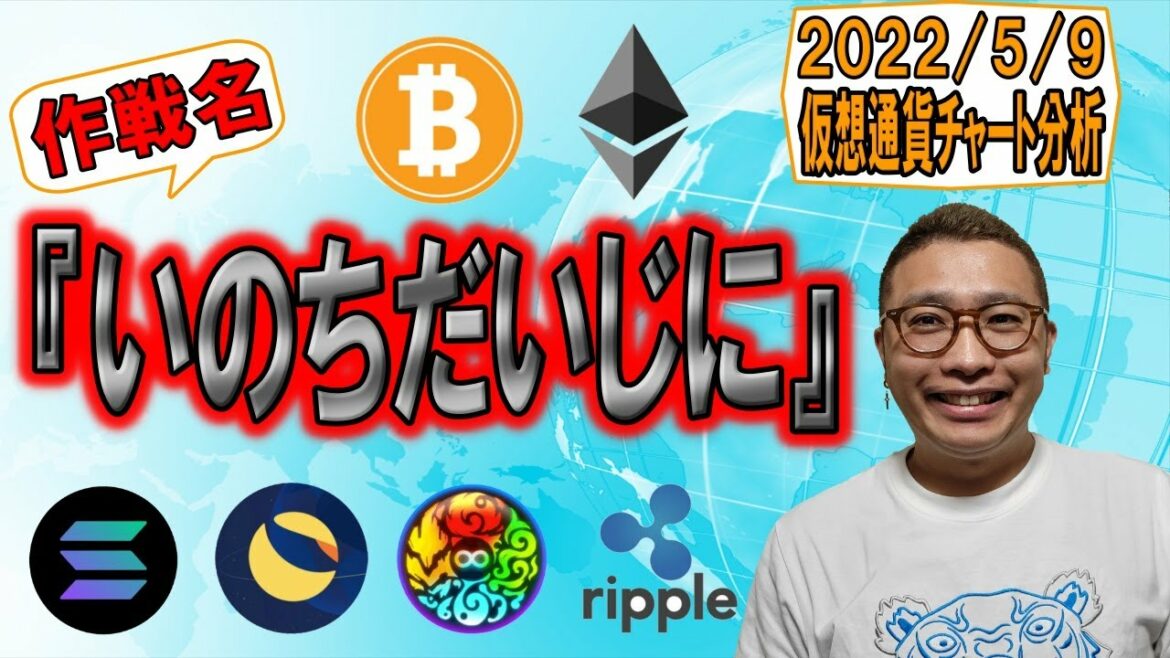 【仮想通貨 ビットコインBTC & アルトコイン 分析】作戦名『いのちだいじに』 【仮想通貨 ビットコインBTC & アルトコイン 分析】作戦名『いのちだいじに』
