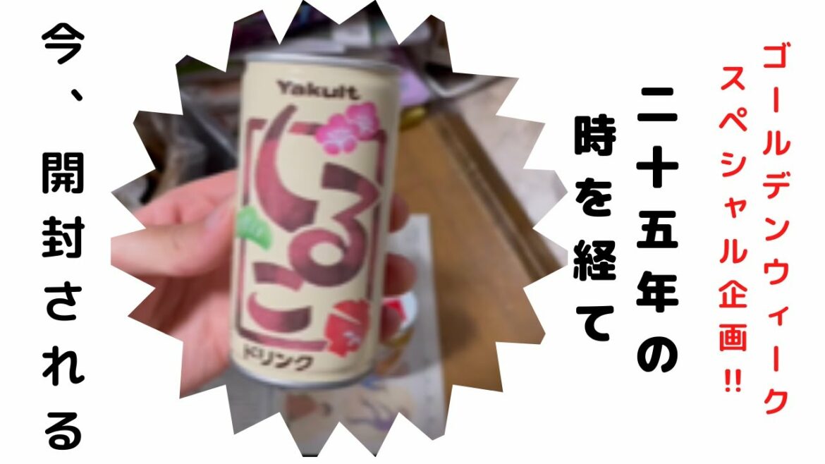 【衝撃映像】25年前のお汁粉を開封