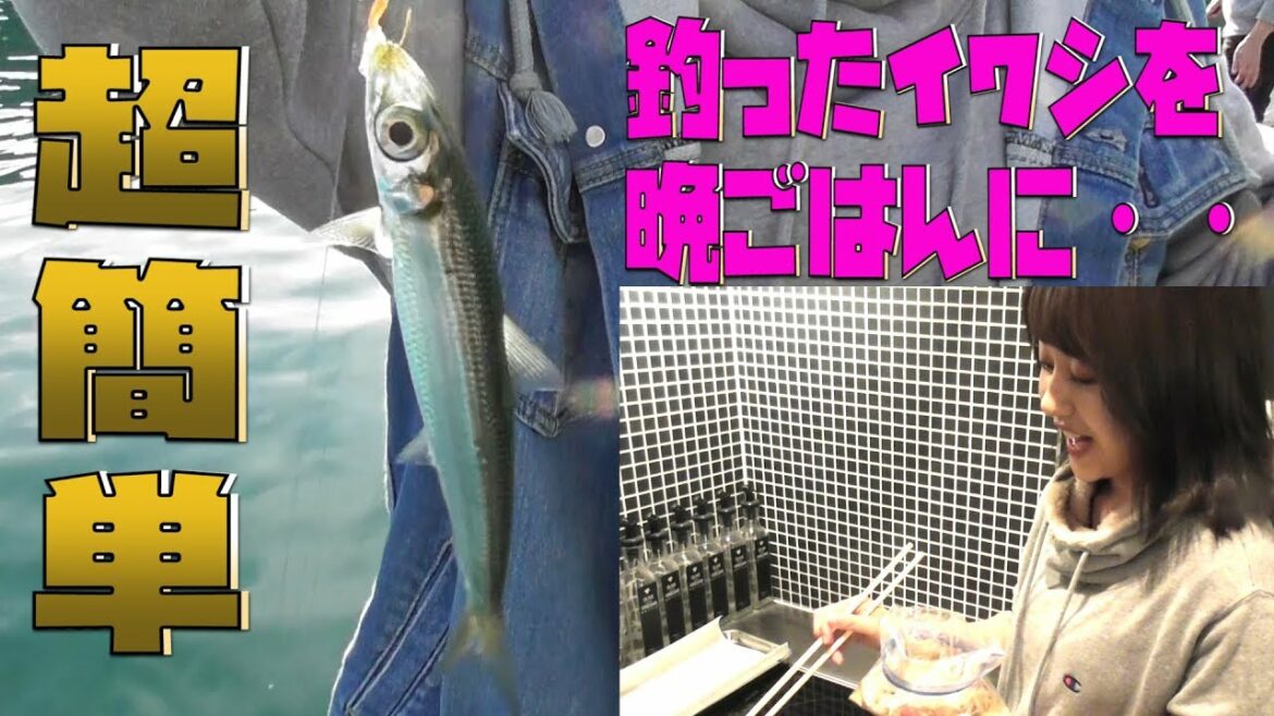 【超簡単】イワシ釣りからのお手軽クッキング