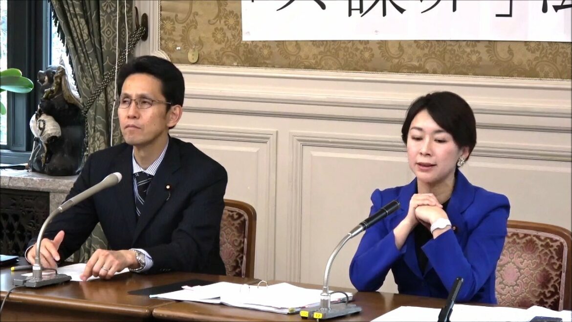 民進党・階猛・山尾志桜里議員記者会見「共謀罪」について 2017年2月23日