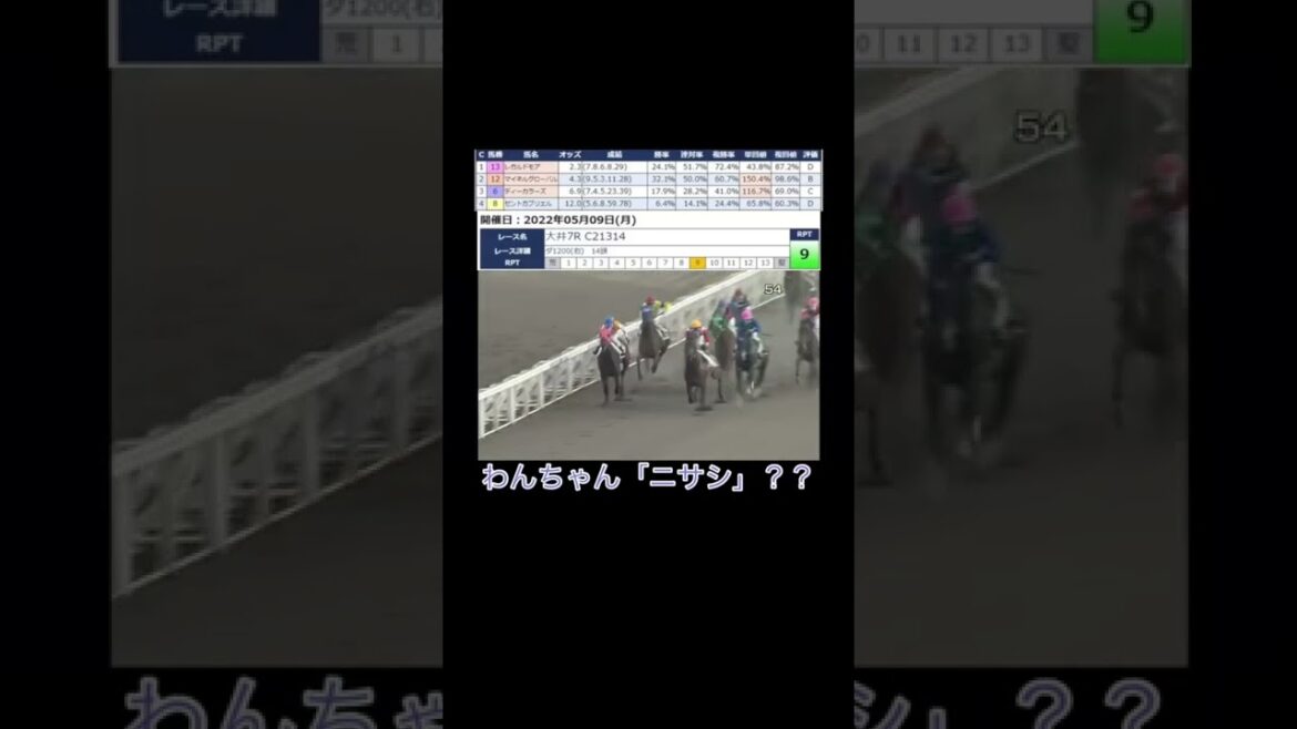 【地方競馬結果】ワイドで結果を出すために考える事【大井競馬場】