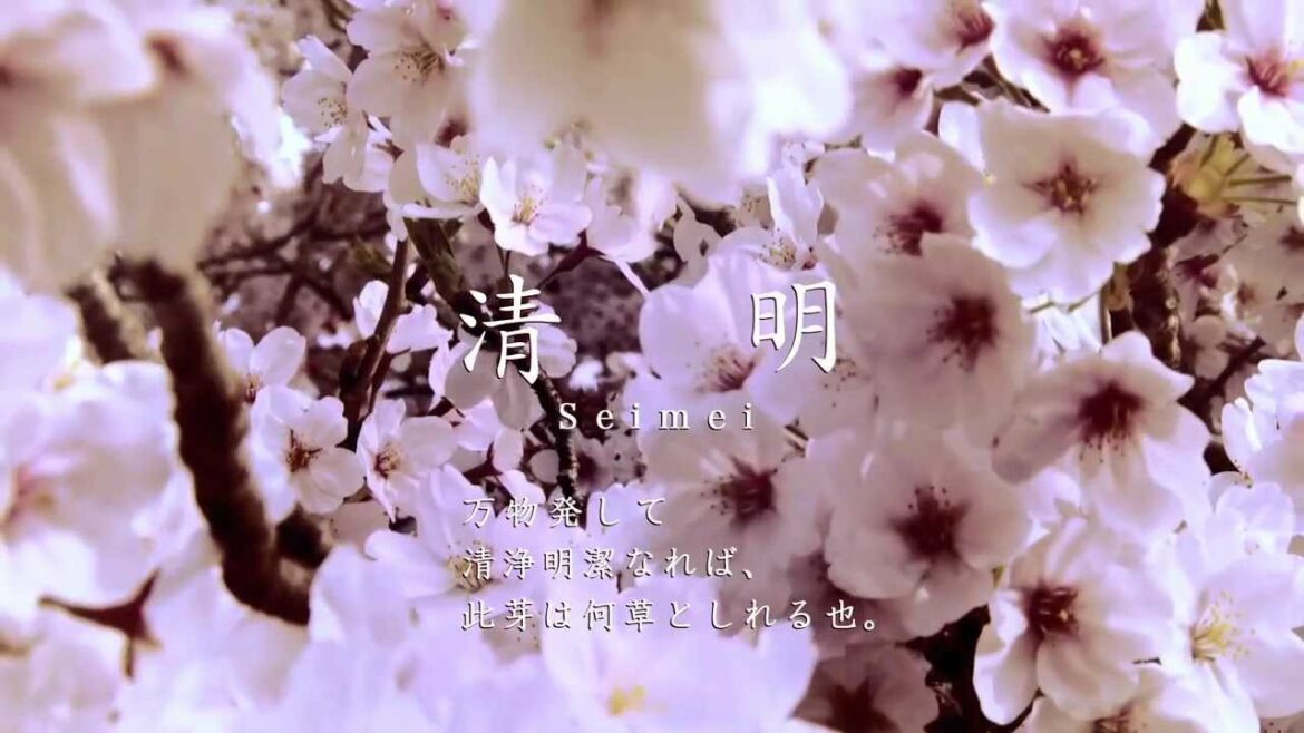 [京都二十四節気] 清明