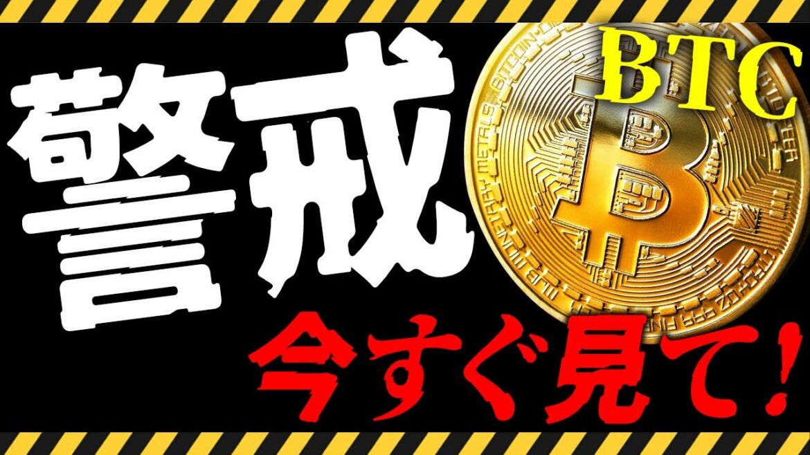 ⚠️暴落に警戒⚠️ビットコインが今後急落する⁉︎今すぐ見てください！【仮想通貨】