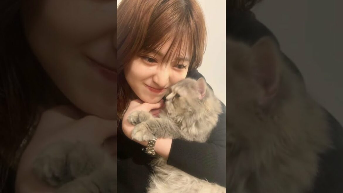 福本莉子ちゃんは156cm無邪気で関西弁を操る #shorts