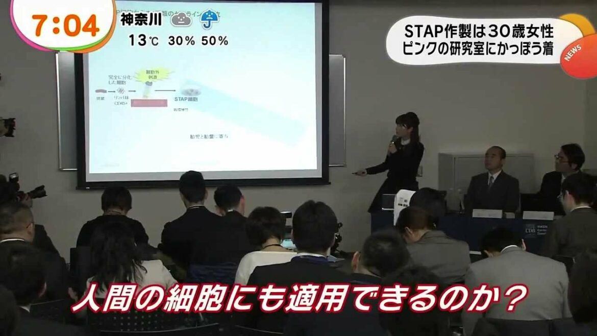 理化研(이화학연구소)・小保方晴子(오보카타 하루코)：万能細胞(만능세포)「STAP細胞」を開発