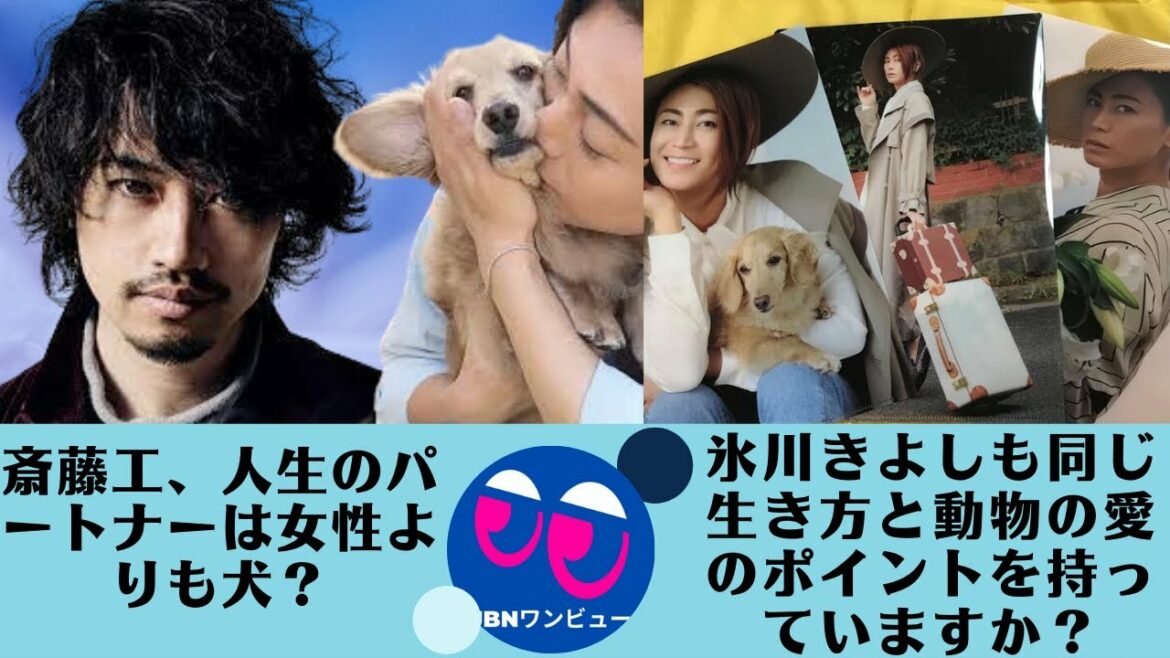 【斎藤工、氷川きよし】氷川きよしも同じ生き方と動物の愛のポイントを持っていますか?。「犬に育てられた」過去も公言。斎藤工、人生のパートナーは女性よりも犬? 【斎藤工、氷川きよし】氷川きよしも同じ生き方と動物の愛のポイントを持っていますか?。「犬に育てられた」過去も公言。斎藤工、人生のパートナーは女性よりも犬?