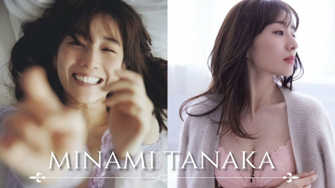 【人物が分かるプロフ付】田中みな実 グラビア写真集 Minami Tanaka Photo album