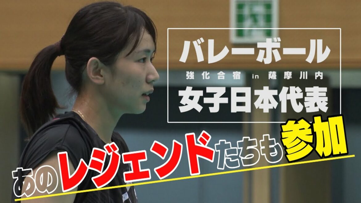 バレーボール女子日本代表強化合宿に“頼もしい助っ人”が駆けつけた!!
