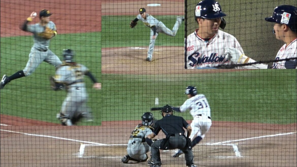 佐藤輝明さん痛恨のエラー 勝負を決めた山崎のセフティーバントからの塩見激走 ！からの山田哲人  タイムリーで盛り上がるベンチ 2022年5月19日 ヤクルトスワローズ 阪神タイガース 神宮球場 オスナ